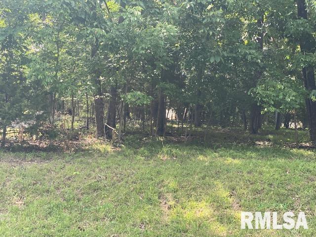 TBD Lakeshore Dr., Goreville, IL 62939