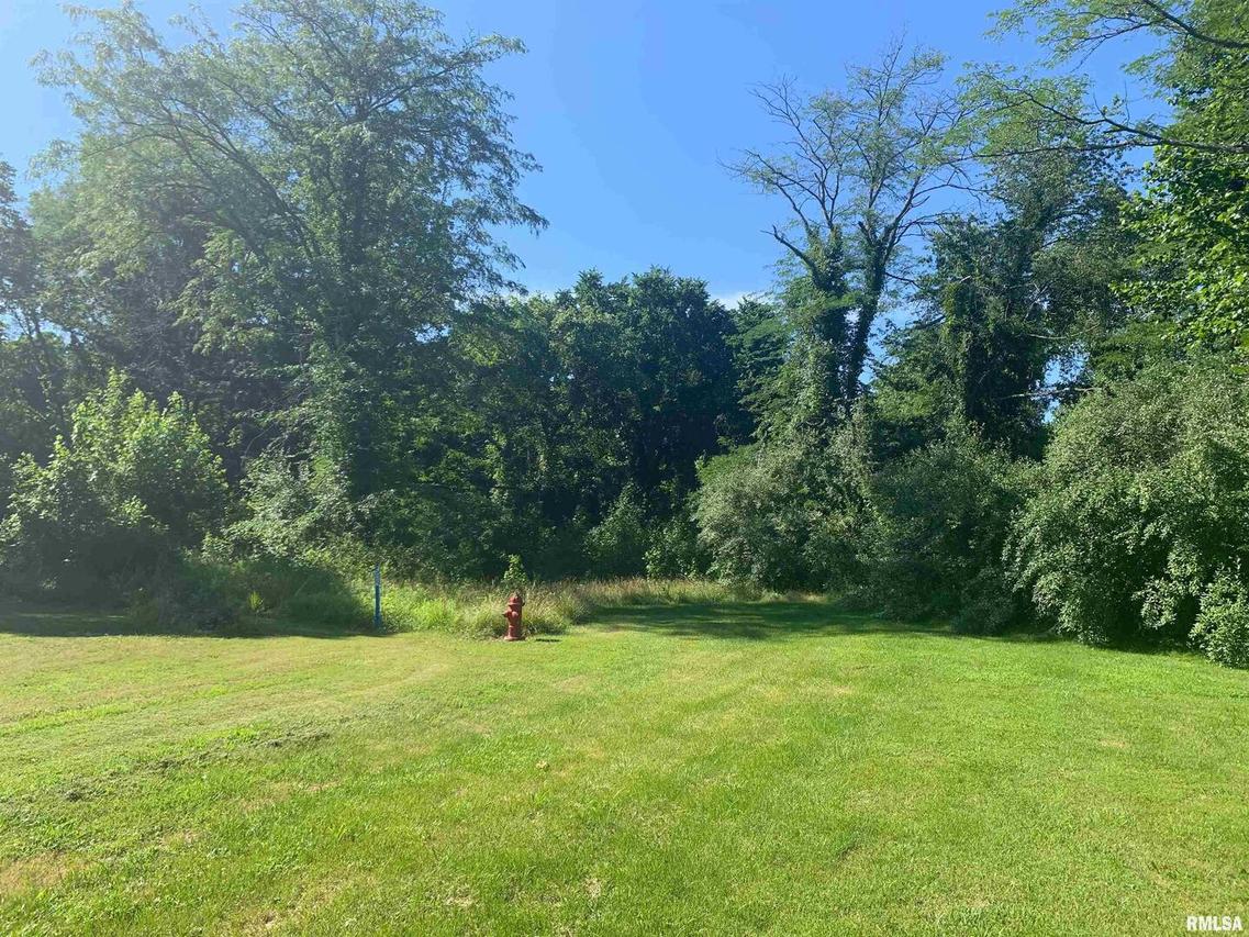 0000 Blackberry Ln., Carbondale, IL 62901