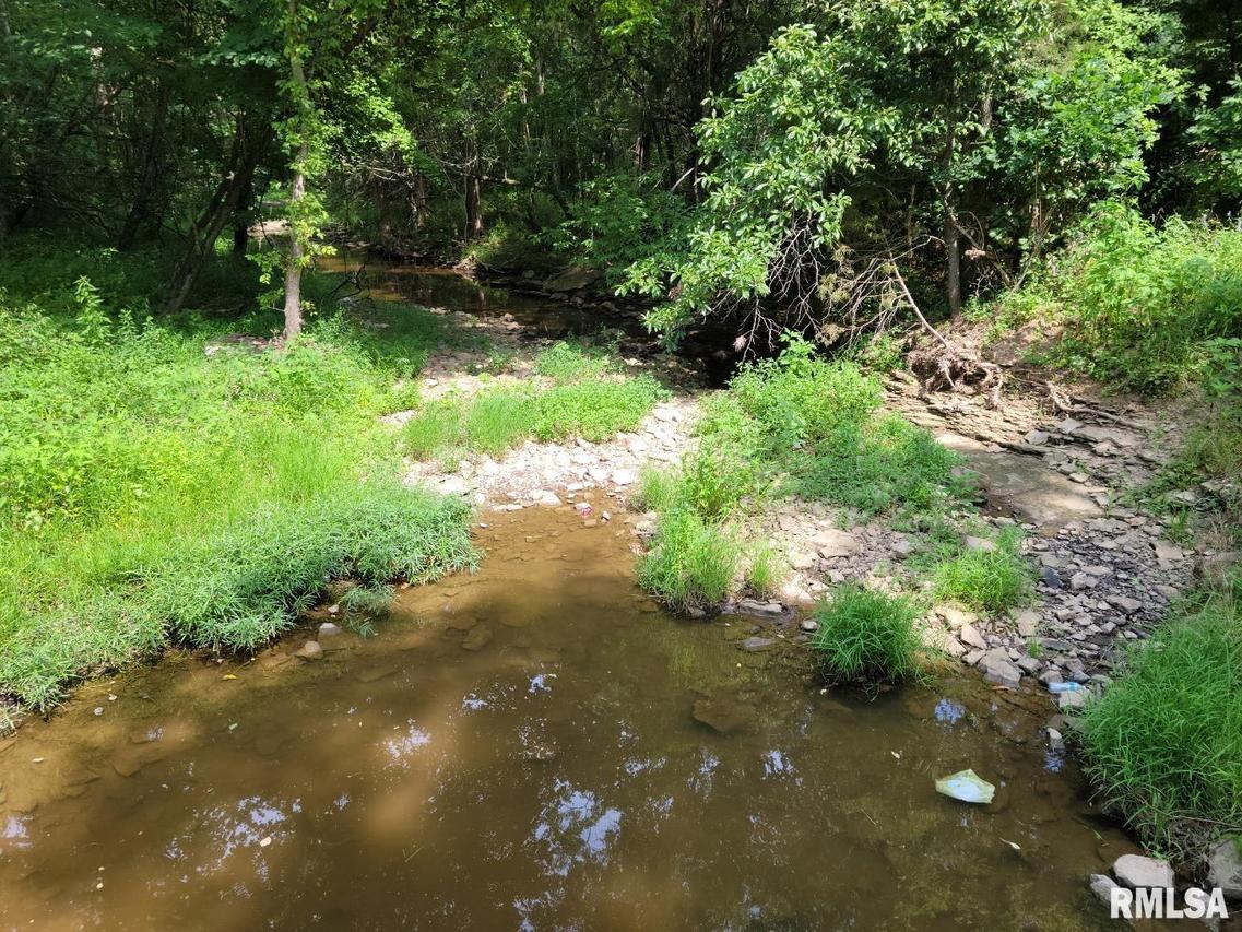 000 Mount Shelter Rd., Vienna, IL 62995