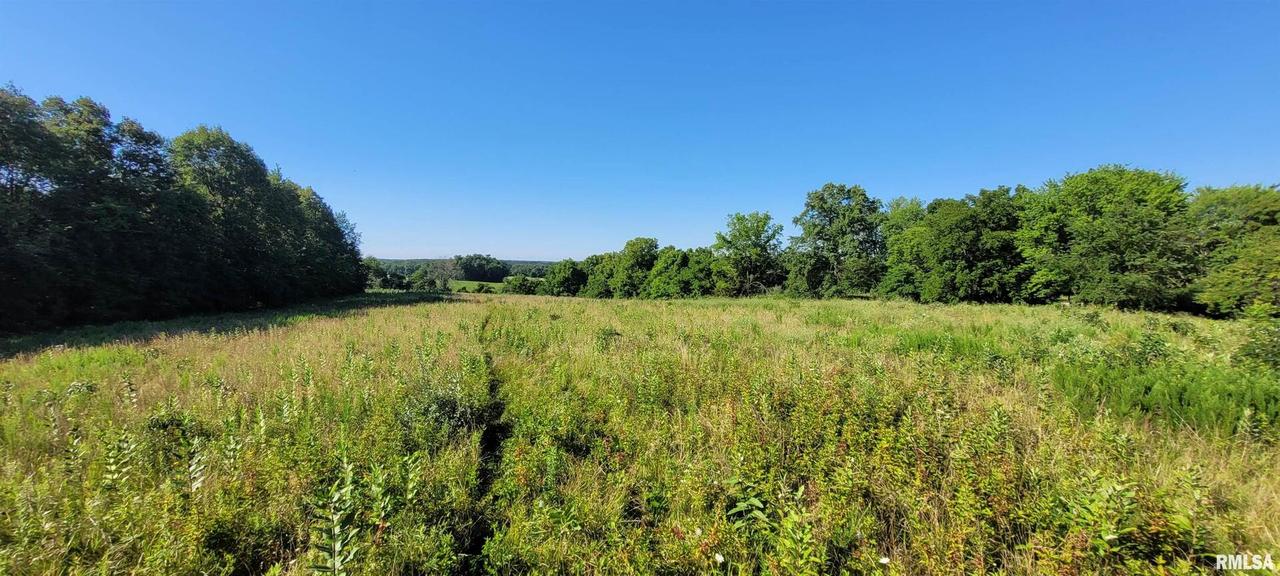 000 E Pinecone Rd., Bluford, IL 62814