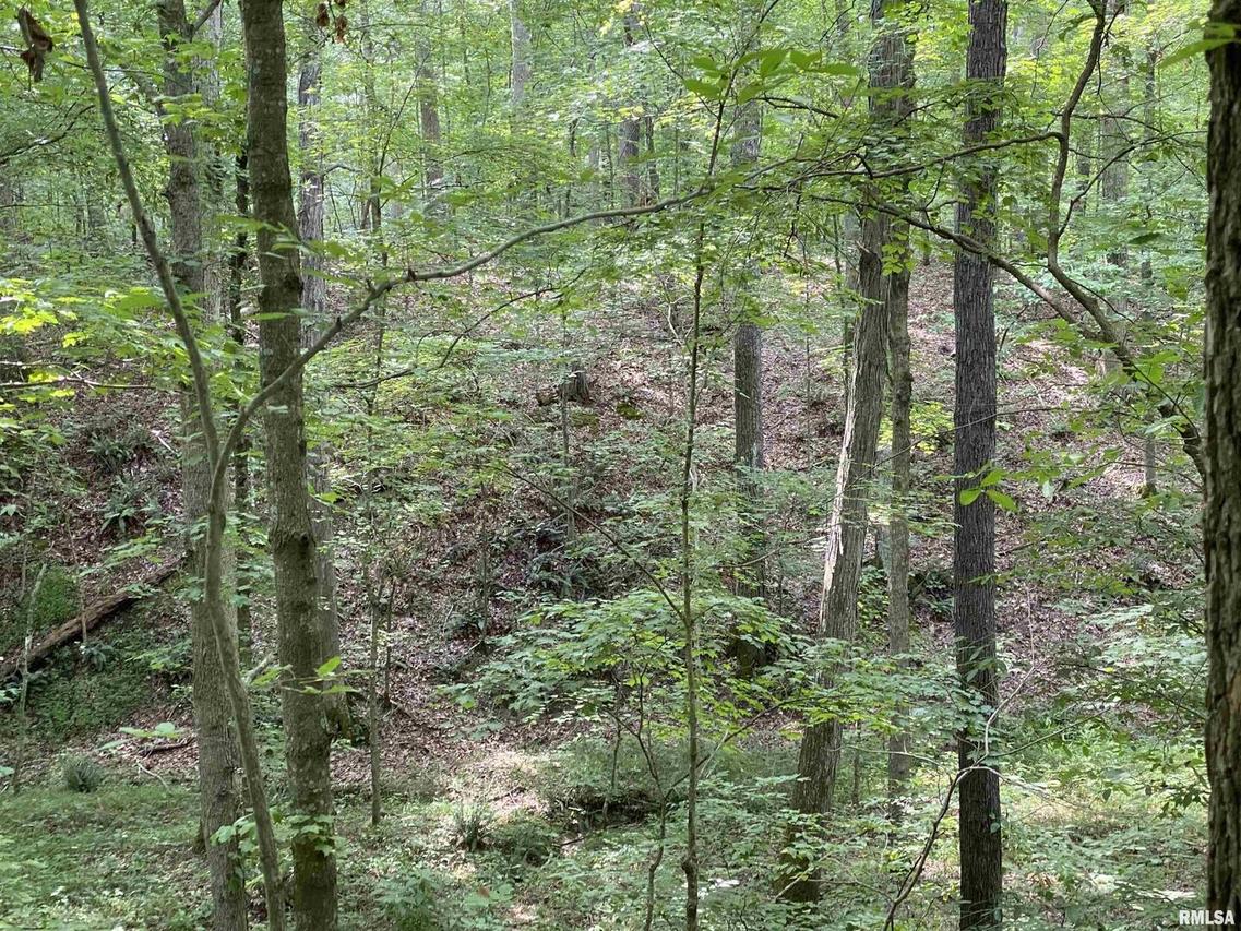 0000 Mauseyville Rd., Stonefort, IL 62987