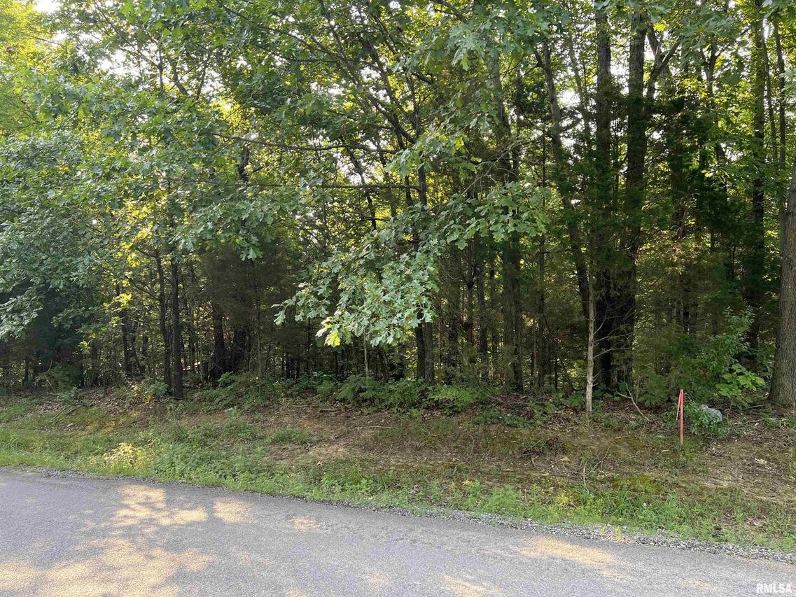 Lot 63 Indian Creek Rd., Goreville, IL 62939