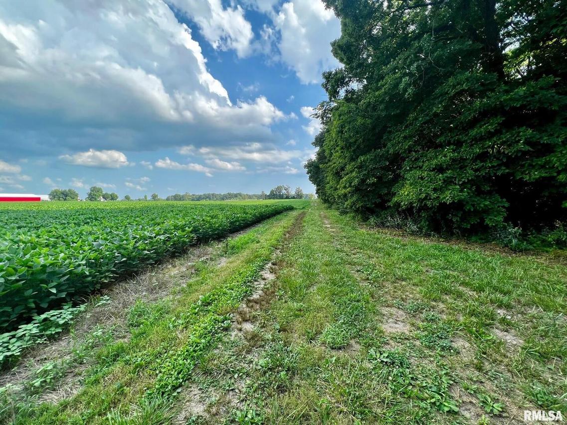 1539 Jenkins Rd., Murphysboro, IL 62966