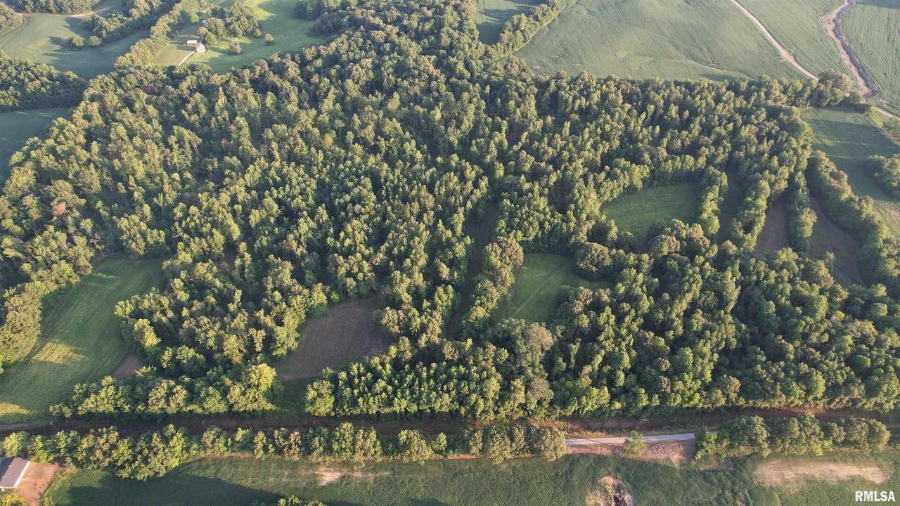 000 Hogendobler Rd., Villa Ridge, IL 62996