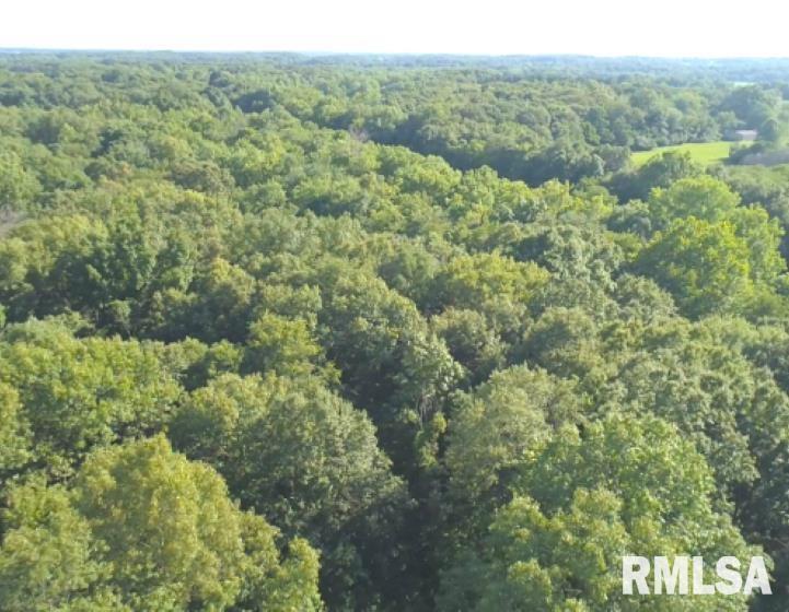 0000 E Maple Rd., Bluford, IL 62814