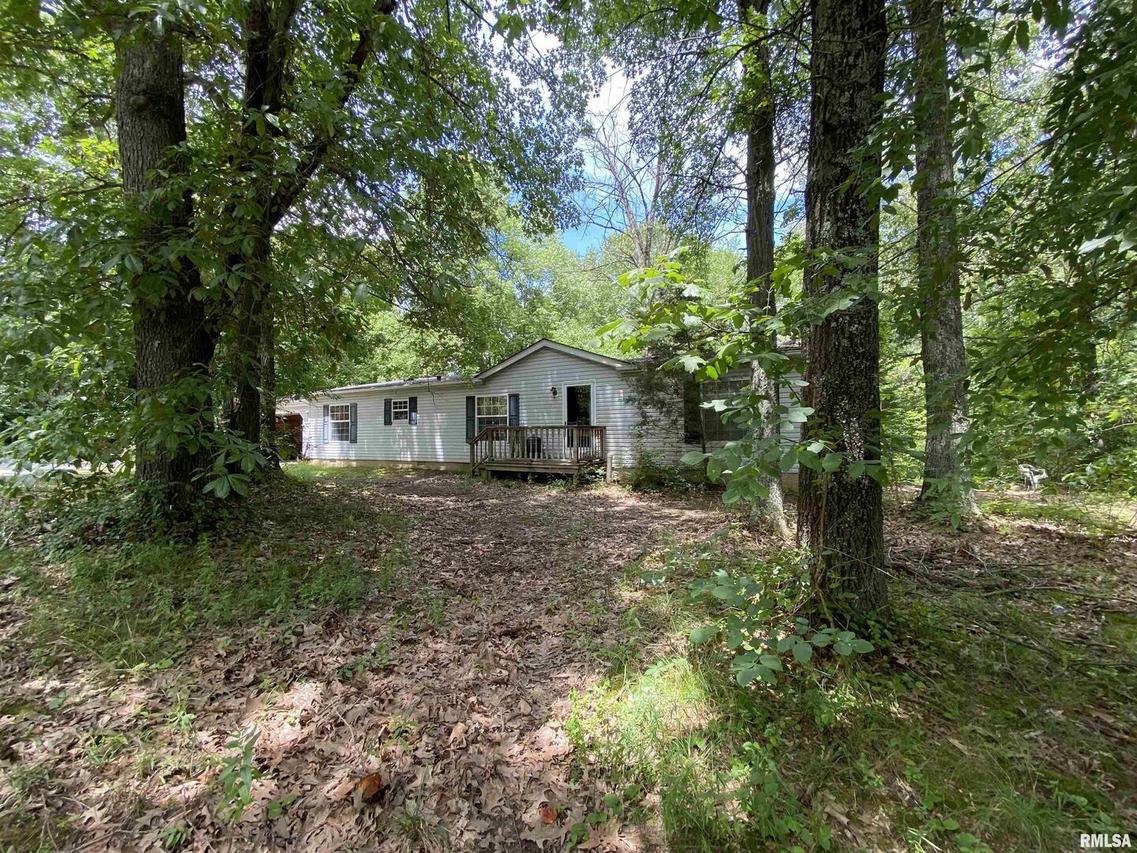 1594 Dr Springs Rd., Desoto, IL 62924