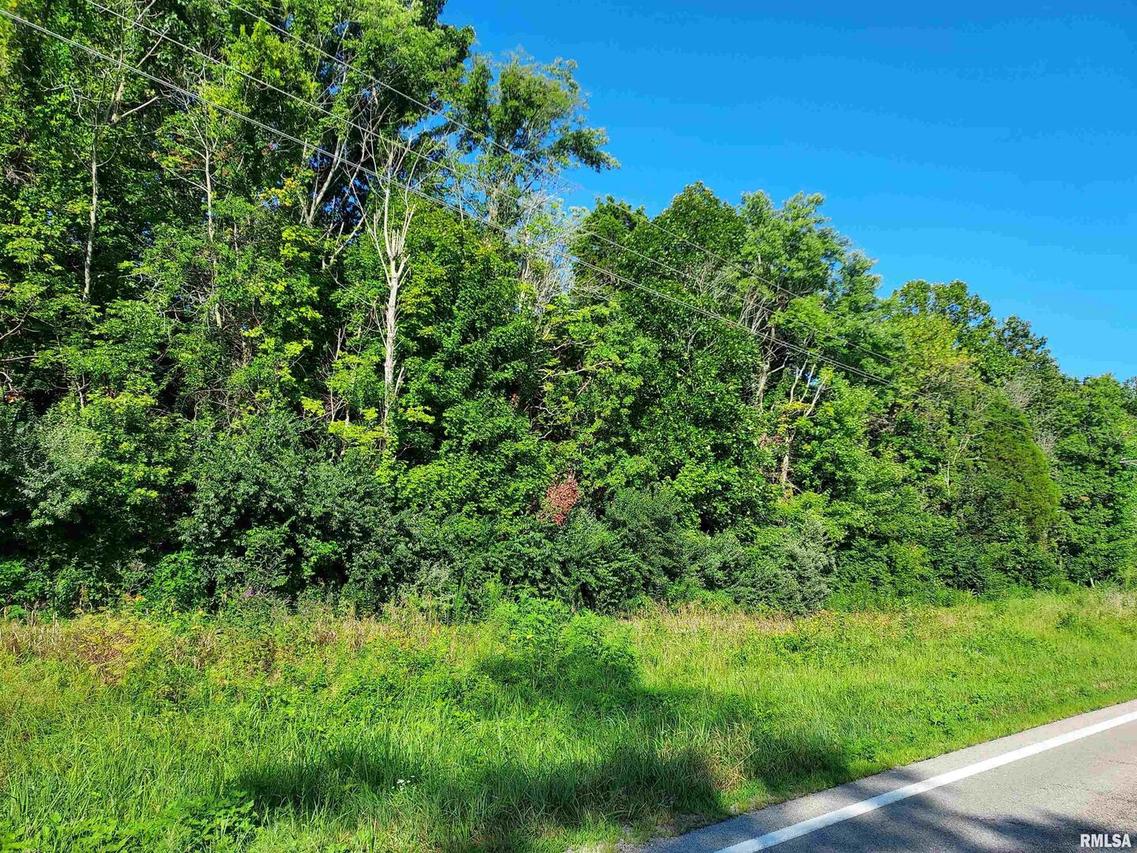 TBD E State Route 146 E Route, Vienna, IL 62995