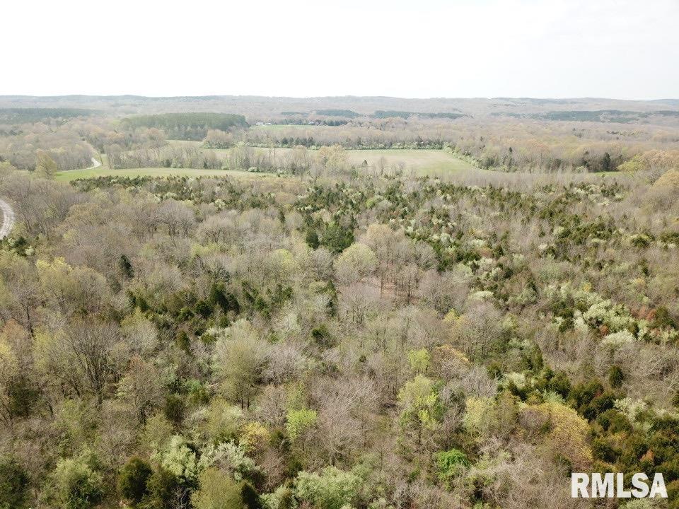 0000 Tom Dick Hill Rd., Stonefort, IL 62987