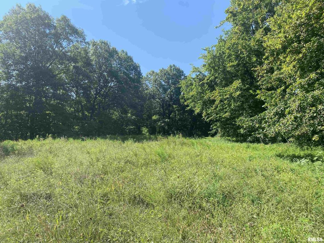 0000 Neely Rd., Anna, IL 62906