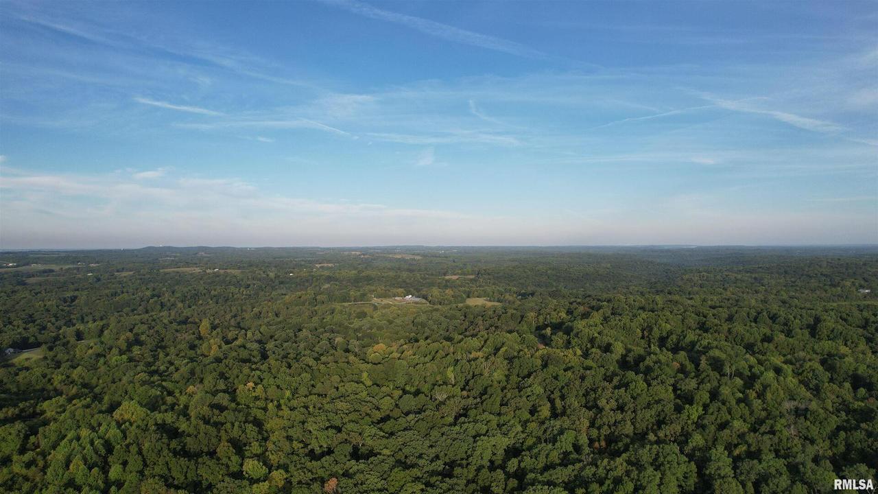 000 Shepard Ln., Makanda, IL 62958