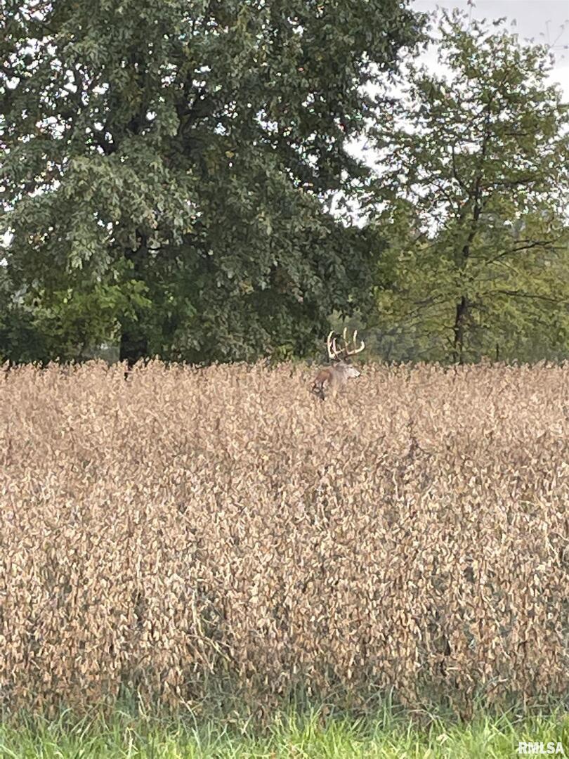 000 Hoffman Rd., Centralia, IL 62801