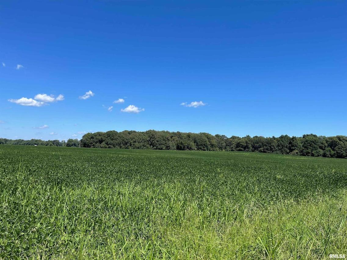 5678 Center St., Mulkeytown, IL 62865