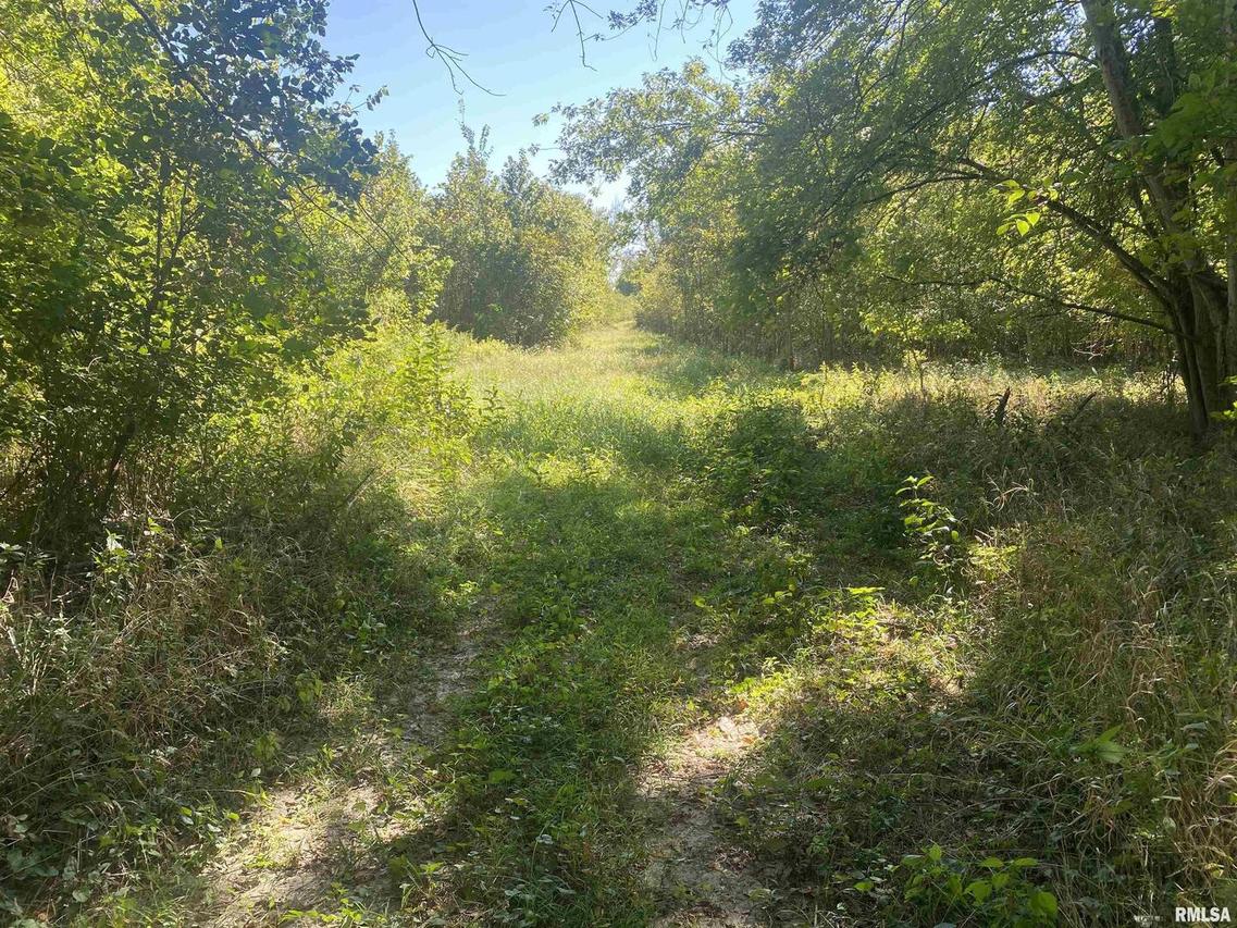 0000 Community Beach Rd., Centralia, IL 62801