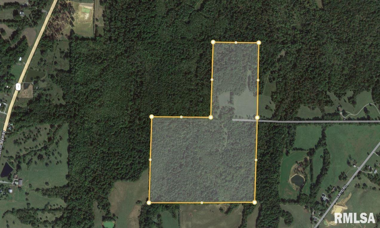 000 Lamb Town Cave Rd., Cave In Rock, IL 62919