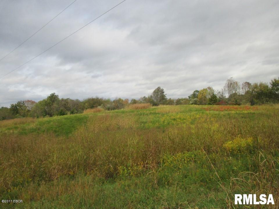 90 Pine Tree Ln., Cobden, IL 62920