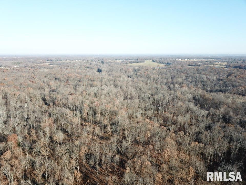 00 Meadowlark Rd., Carrier Mills, IL 62917