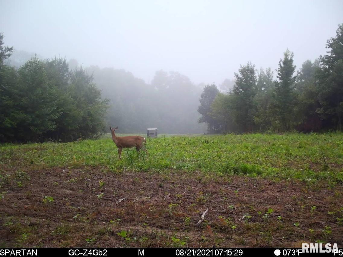 16249 Breezeway Rd., Texico, IL 62889