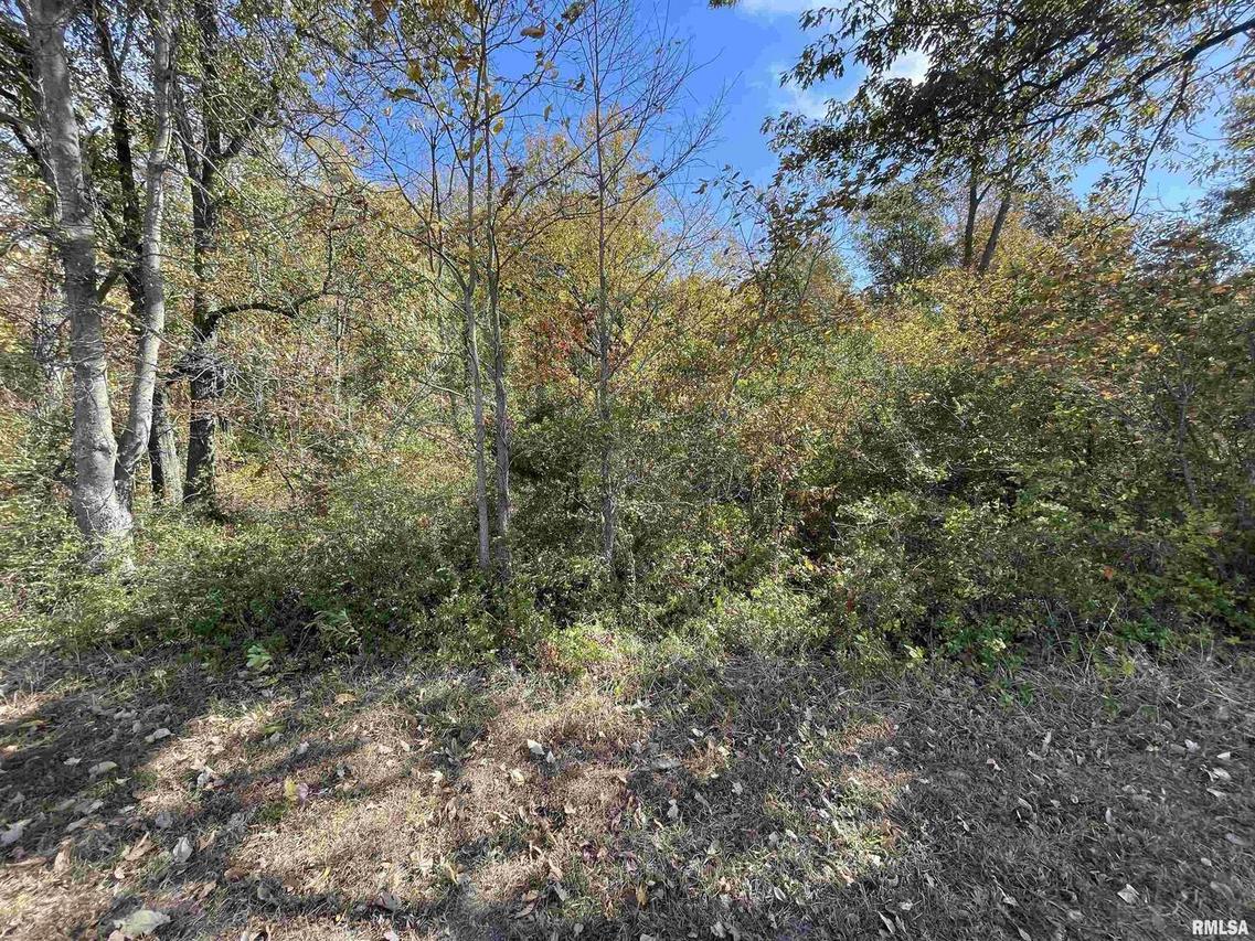 tbd Illinois Steel Rd., Johnston City, IL 62951