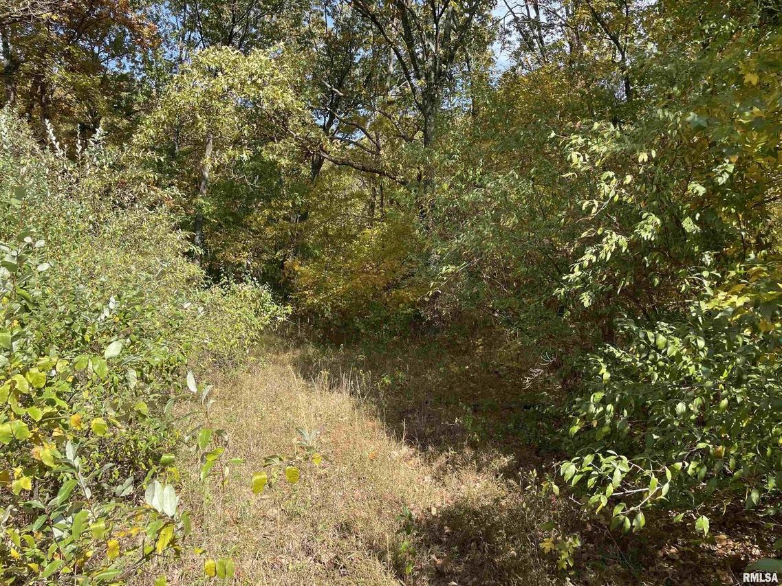 tbd Stewart Ln., Marion, IL 62959