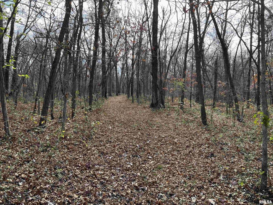 000 Old Us Hwy 50, Flora, IL 62839