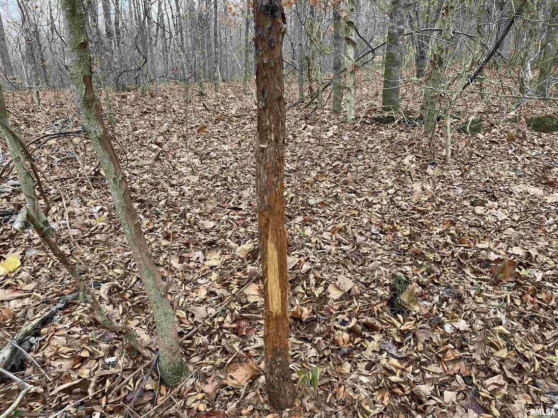 000 Ragan Rd., Eddyville, IL 62928