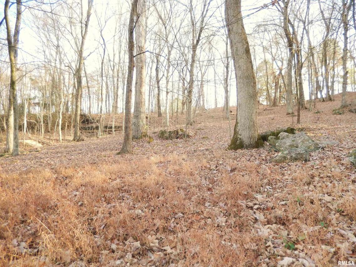 365 Skyline Dr., Cobden, IL 62920