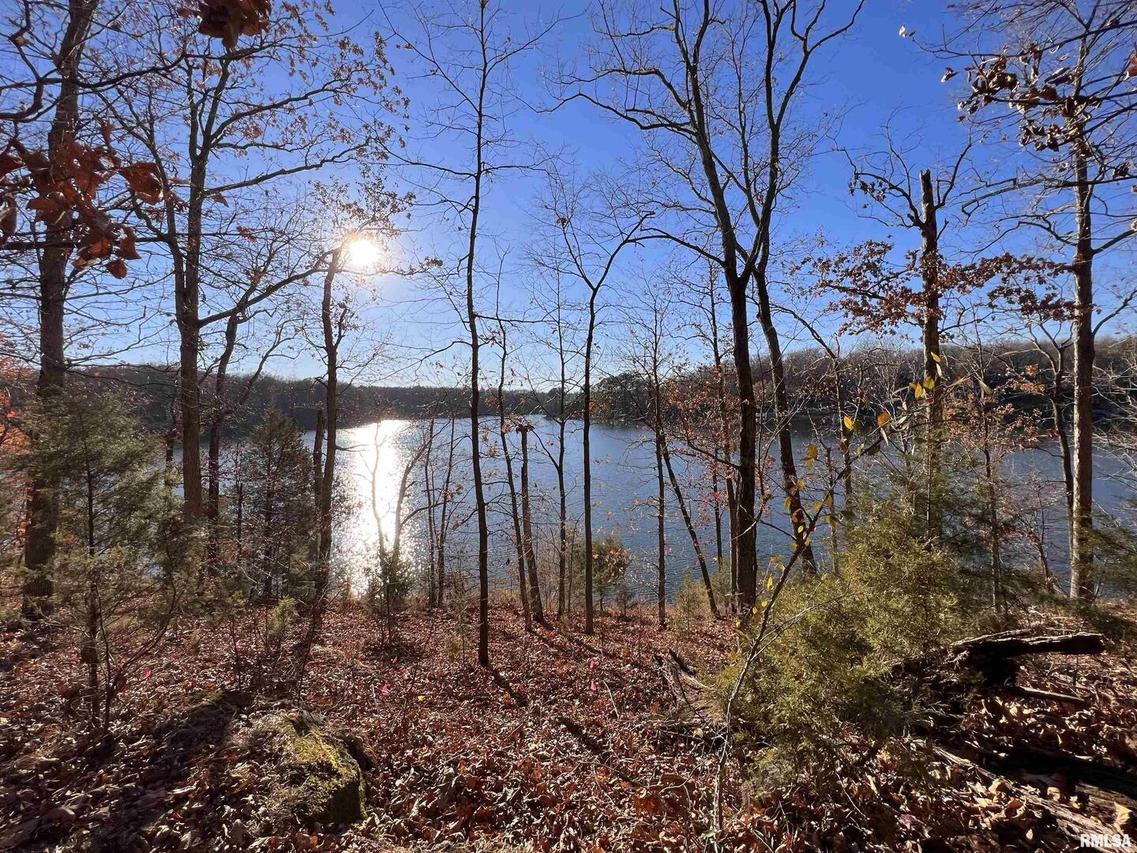 Lot 172 Parrish Ridge Ln., Goreville, IL 62939