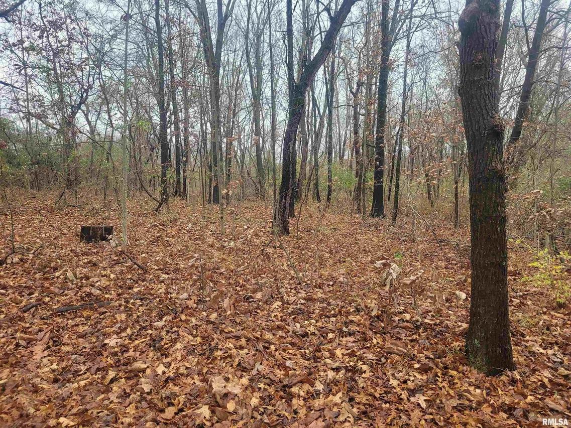 0000 N Harmony Ln., Mt Vernon, IL 62864