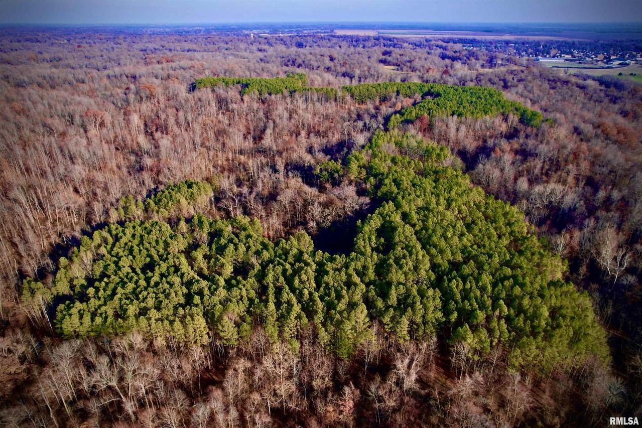 000 Olive Branch Rd., Mounds, IL 62964