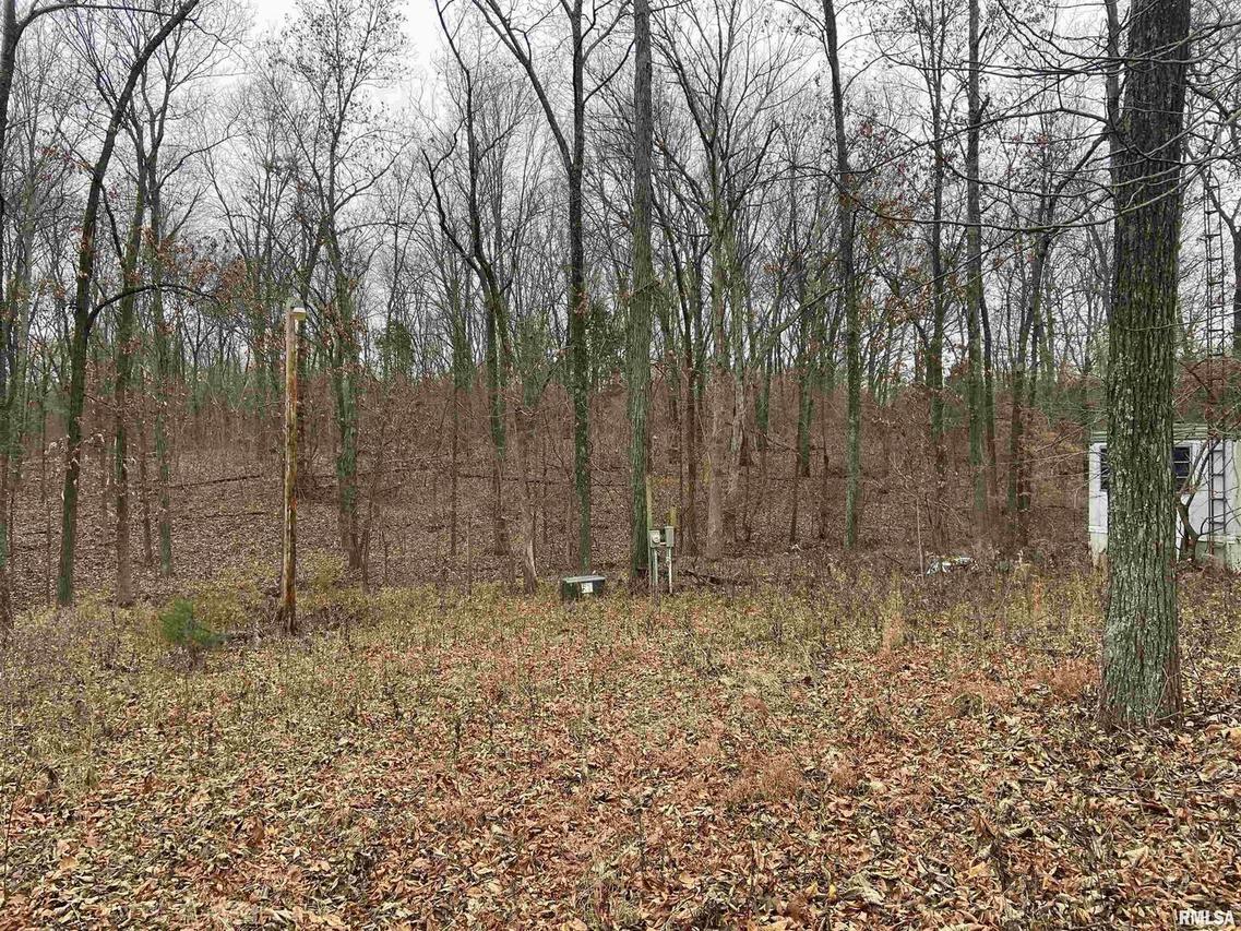 210 Belville Rd., New Burnside, IL 62967