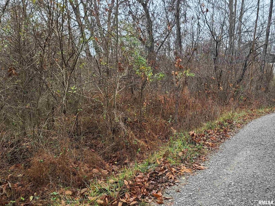 55 Decker Springs Rd., Elizabethtown, IL 62931