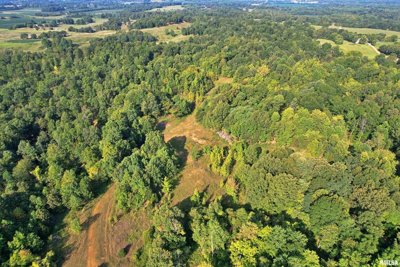 3385 Mill Springs Rd., Brookport, IL 62910