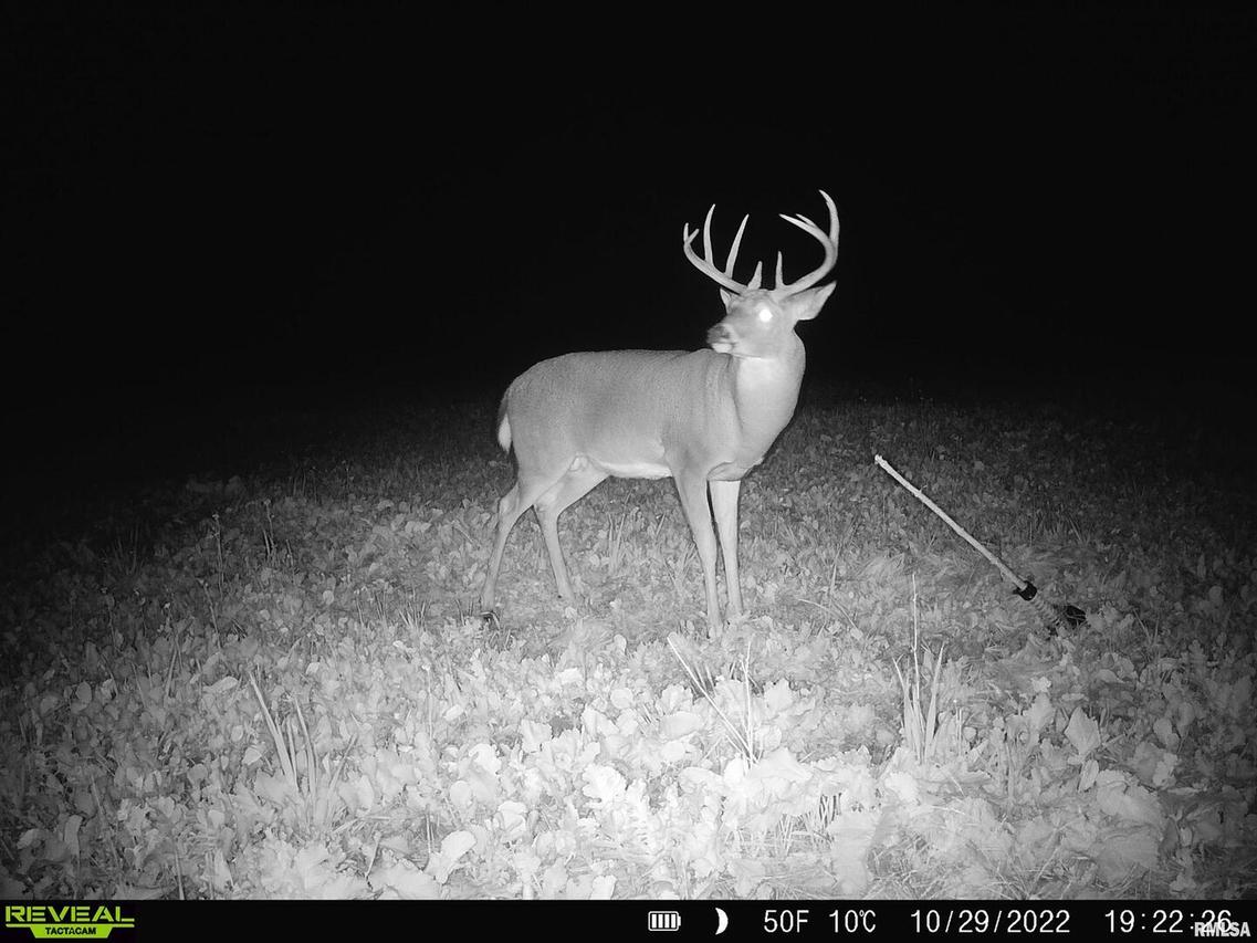 000 E Clay Rd., Noble, IL 62868