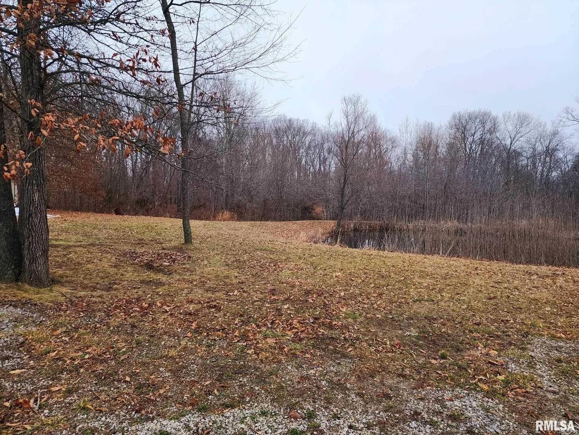 19138 E Divide Rd., Bluford, IL 62889