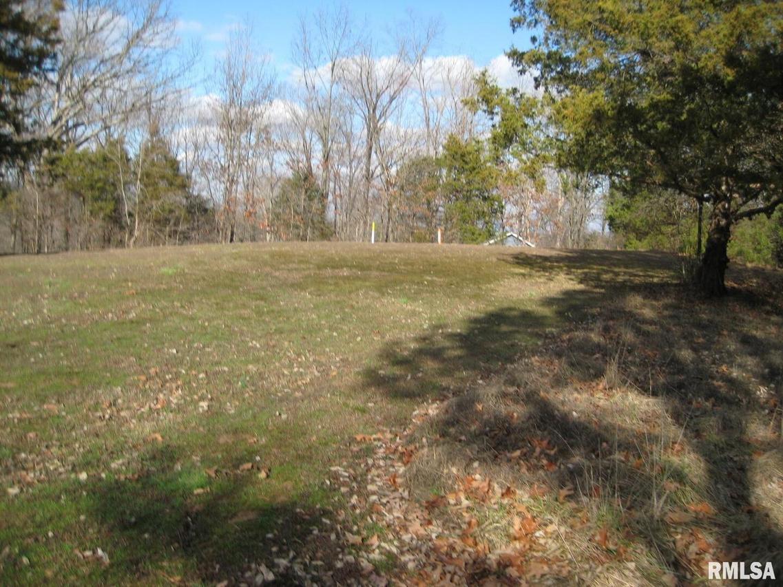 Lot 558 Timberwolf, Goreville, IL 62939