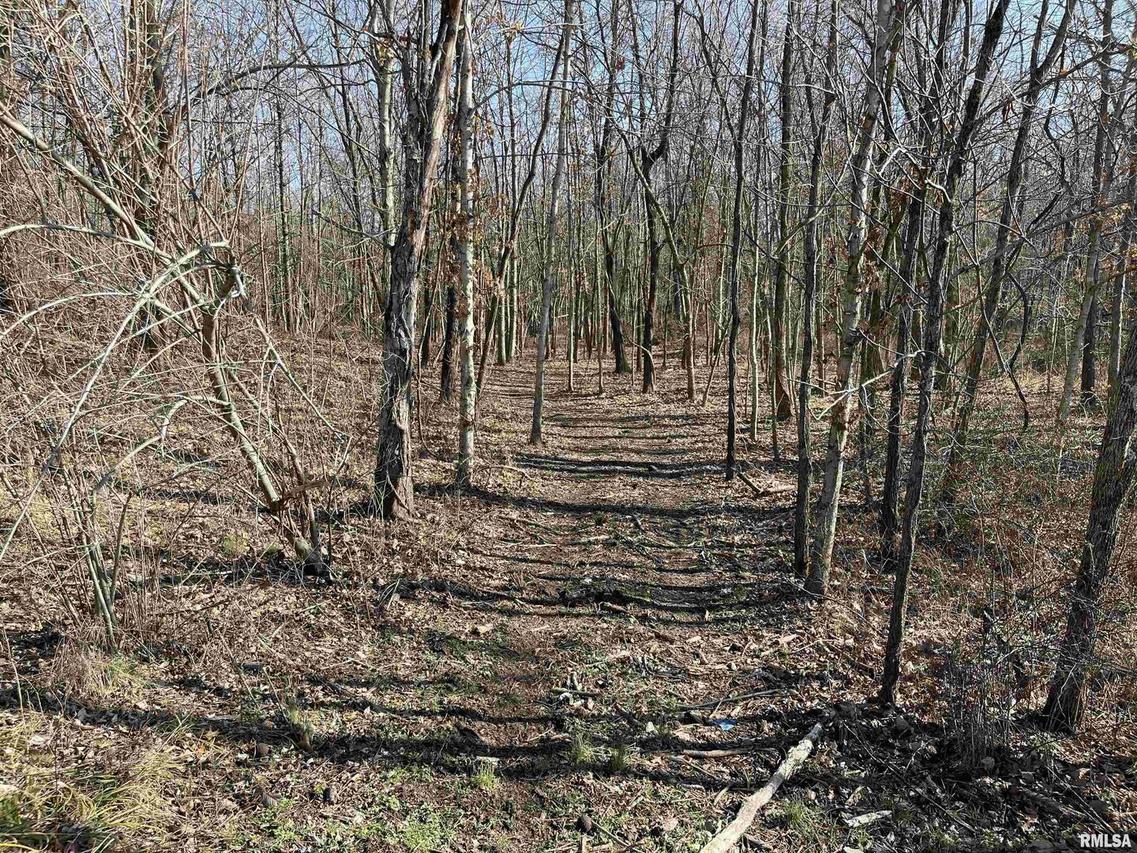 000 County Farm Rd., Kell, IL 62853