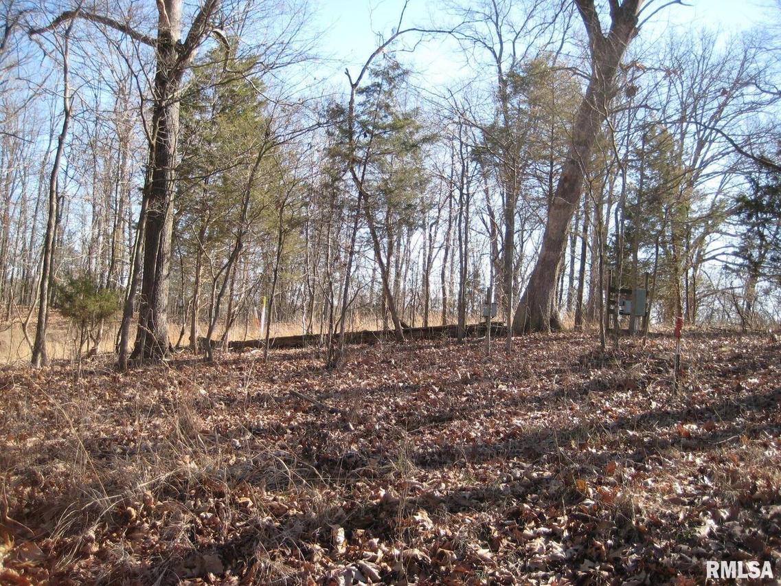 Lot 625 Thompson Dr., Goreville, IL 62939