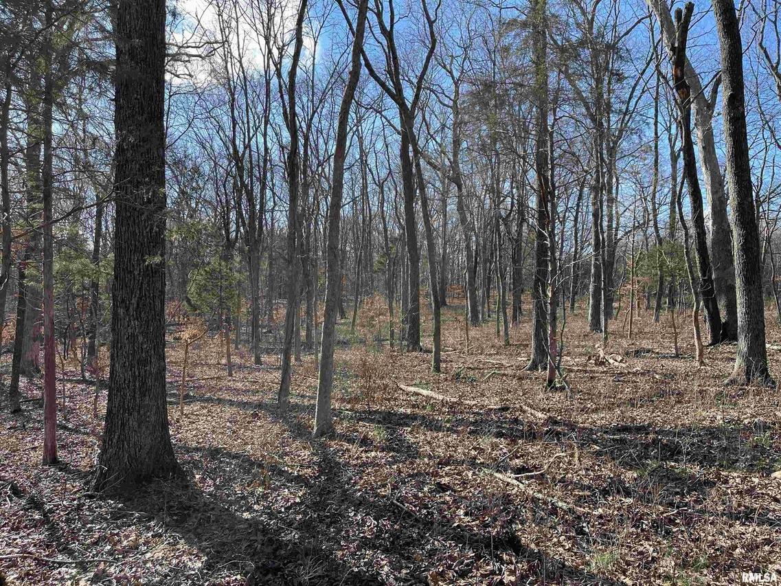 000 TBD Tom Dick Hill Rd., Stonefort, IL 62987