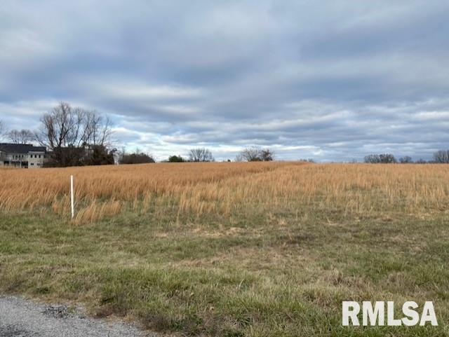 Avalon Ln., Metropolis, IL 62960