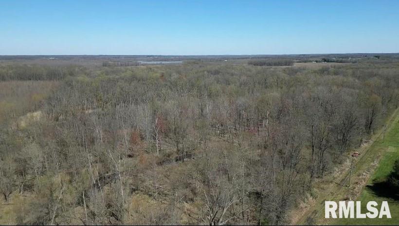 000 Daffodil Ln., West Frankfort, IL 62896