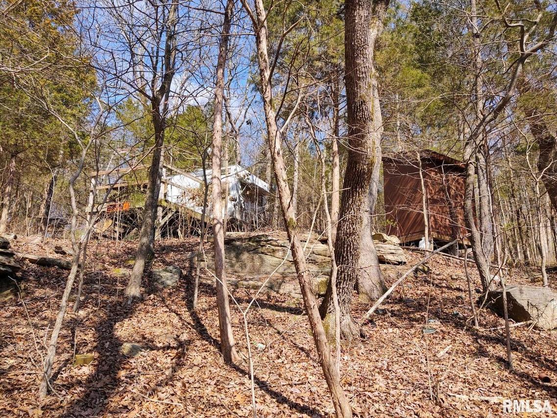 479 Schwartz Hill Ln., Vienna, IL 62995