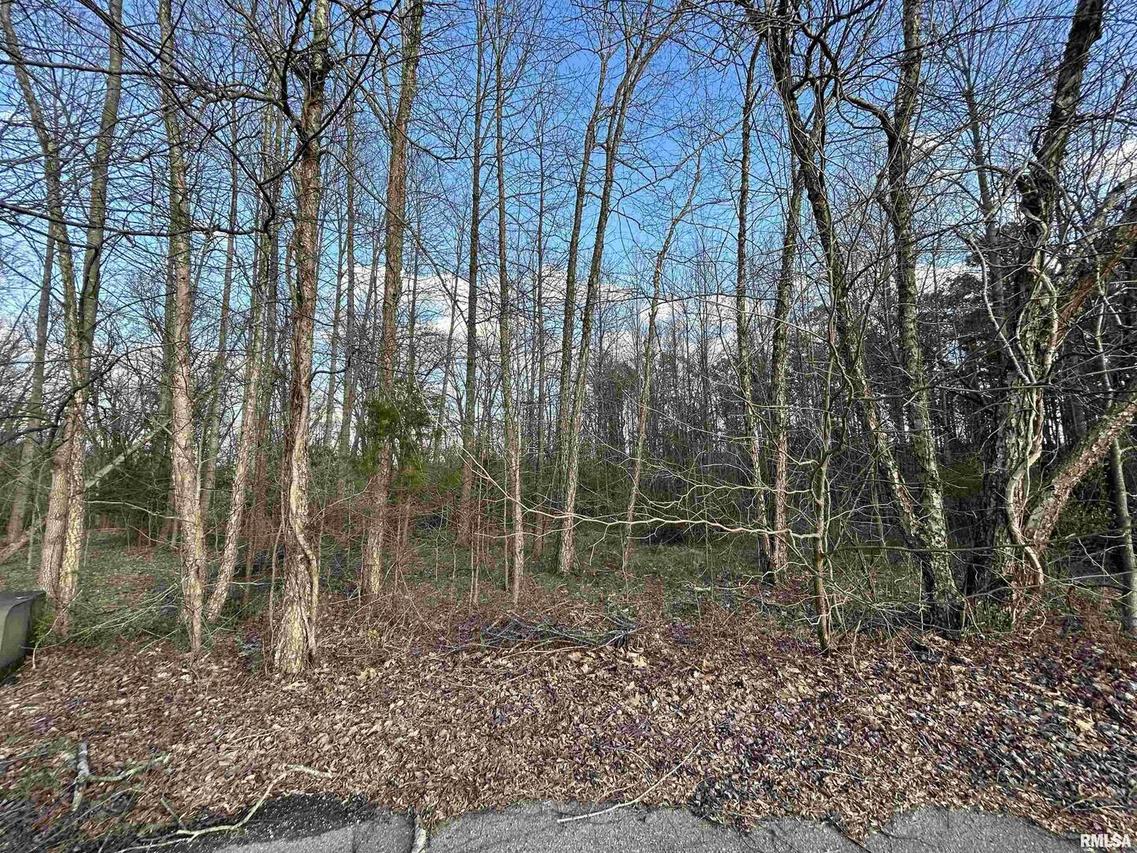 000 Bunker Rd., Makanda, IL 62958