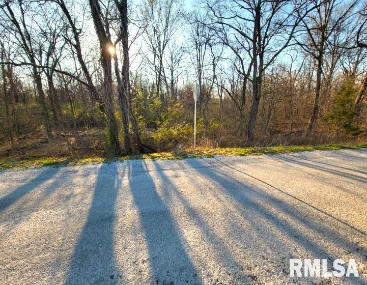 0000 Tolle Ln., Texico, IL 62889