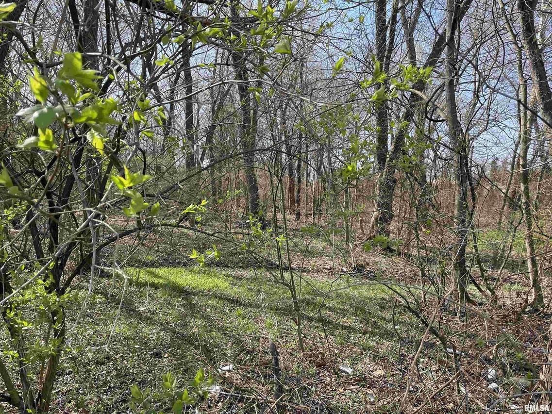 1721 S 13th St., Herrin, IL 62948