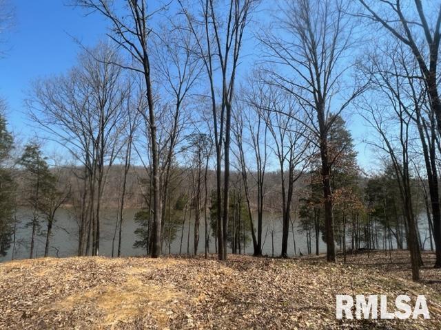 Lot 334 Clifty Ln., Goreville, IL 62939