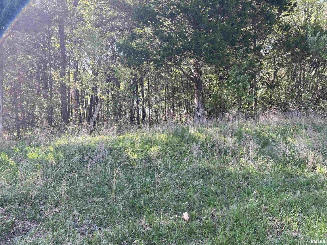 Lots 74 & 75 Sugar Creek Rd., Goreville, IL 62939