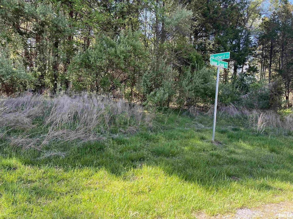 Lot 76 Sugar Creek Rd., Goreville, IL 62939