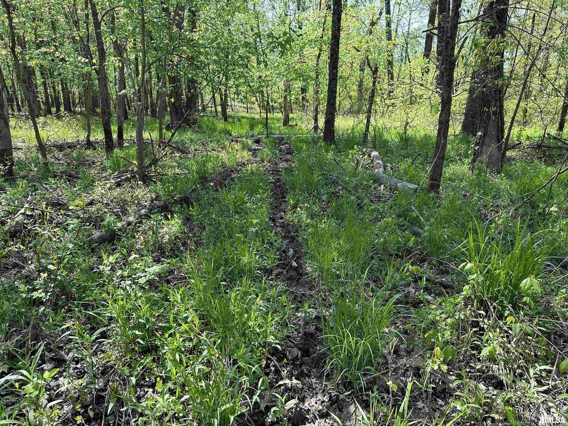 0000 Jolliff Bridge Rd., Centralia, IL 62801