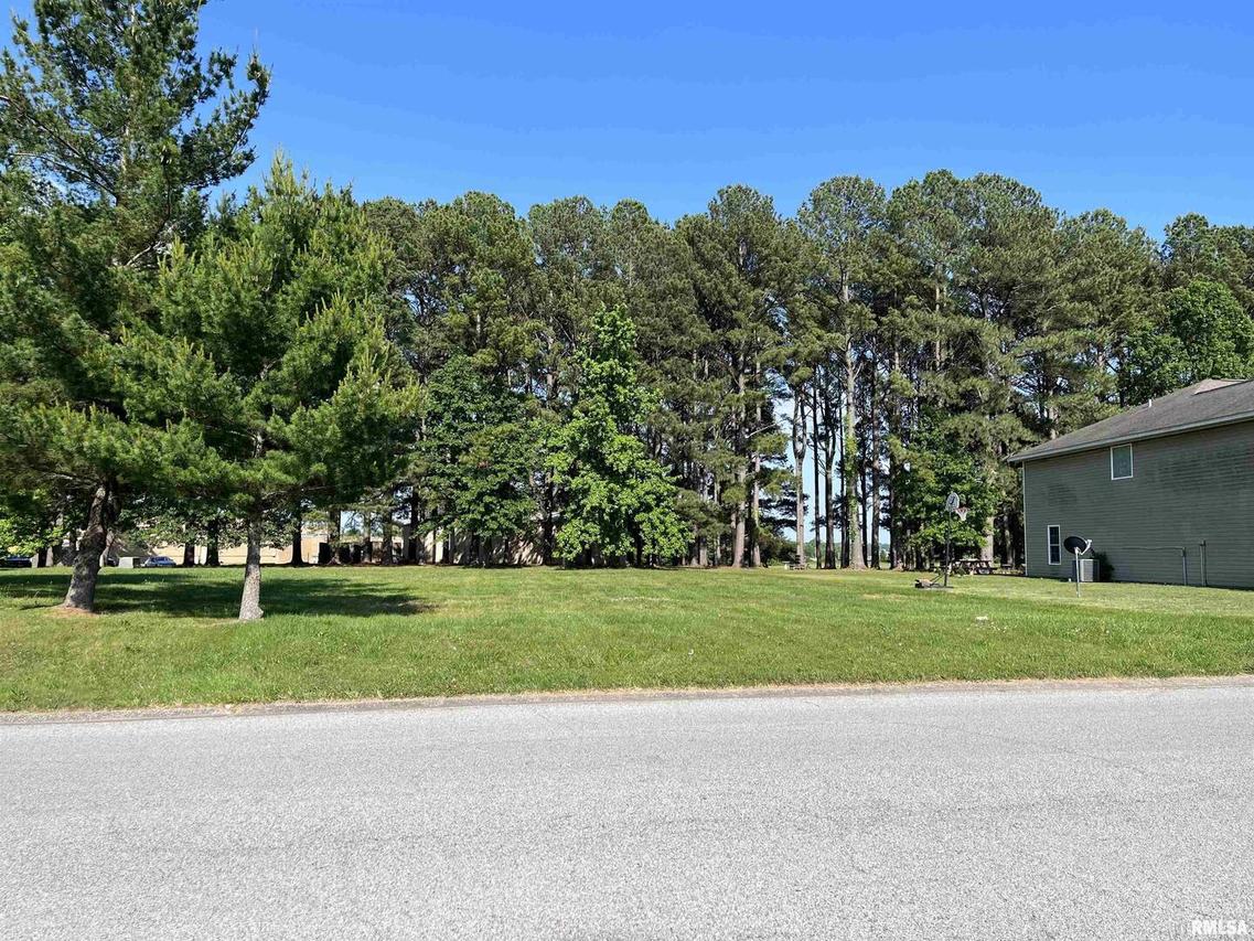 0000 Beadle Dr., Carbondale, IL 62901