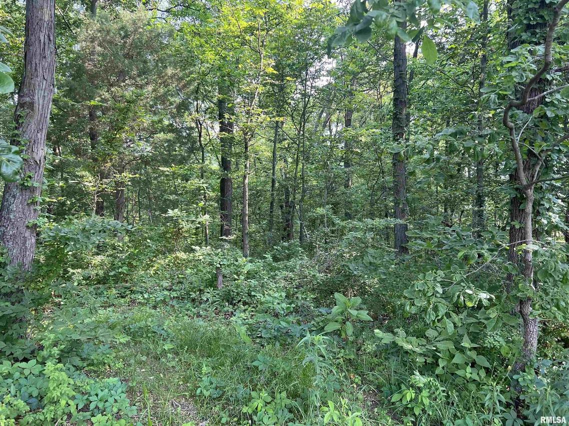 000 1700 N Rd., Cisne, IL 62823